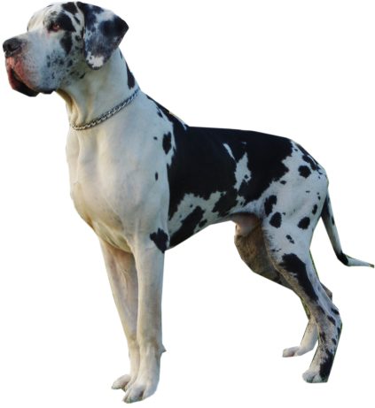 On prend et on dit merci