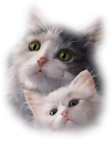 On prend et on dit merci