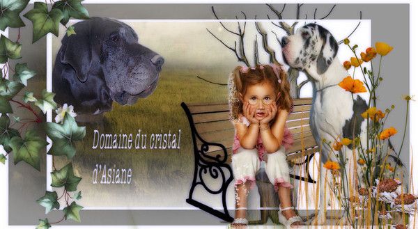 Domaine du cristal d'asiane.