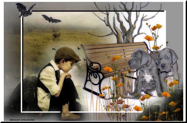 Cadeau pour Céline.