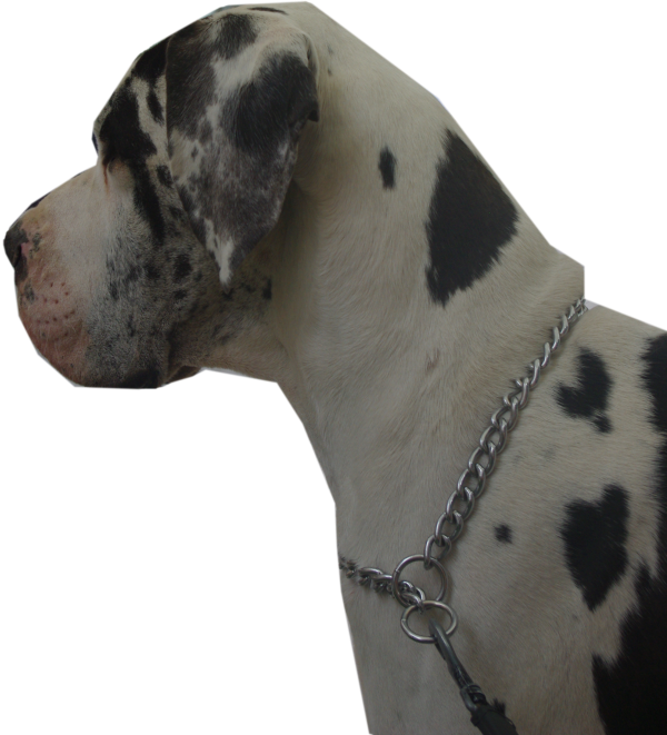 On prend et on dit merci